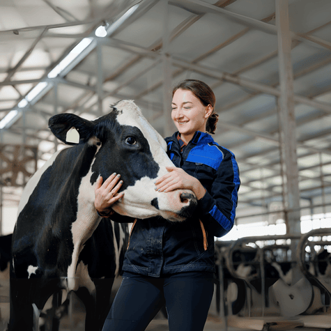 Salud & Nutrición Animal